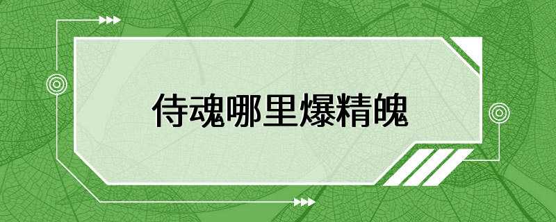 侍魂哪里爆精魄