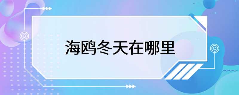 海鸥冬天在哪里