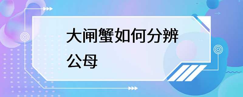 大闸蟹如何分辨公母