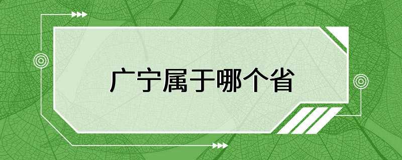 广宁属于哪个省