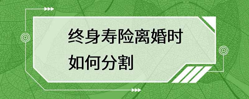 终身寿险离婚时如何分割