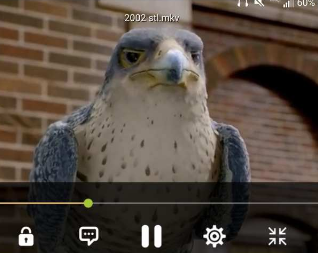 321 Media Player