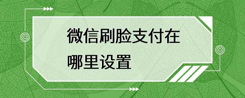 微信刷脸支付在哪里设置