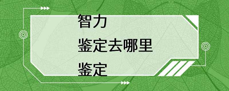 智力鉴定去哪里鉴定