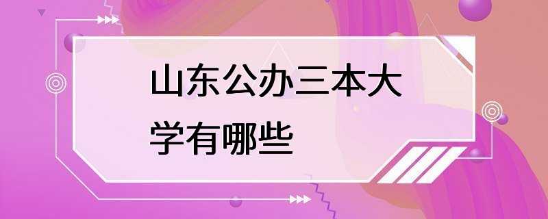 山东公办三本大学有哪些