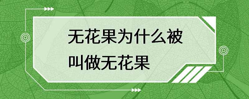 无花果为什么被叫做无花果