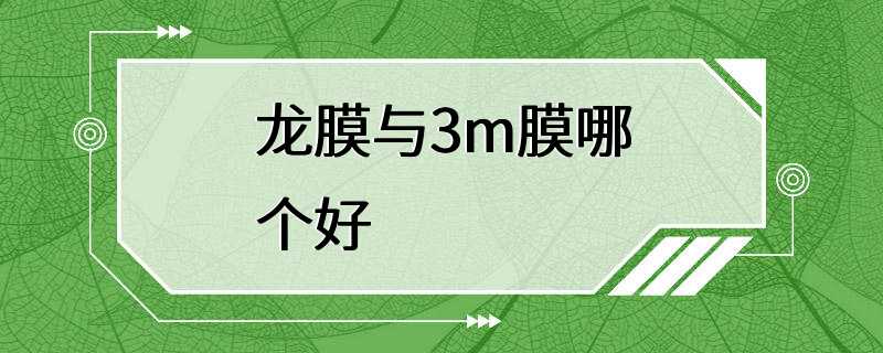 龙膜与3m膜哪个好