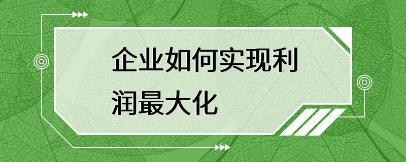 企业如何实现利润最大化