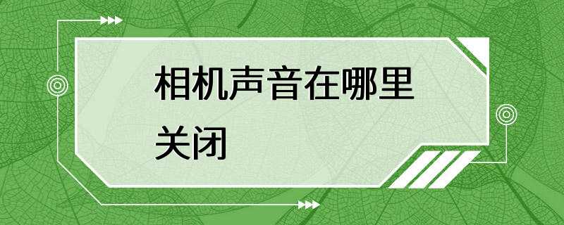 相机声音在哪里关闭