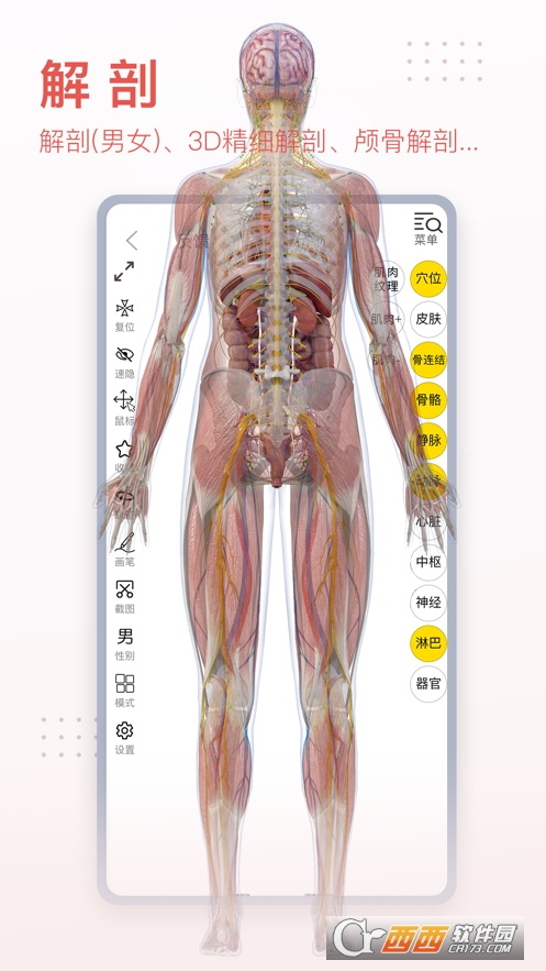 3Dbody解剖安卓版