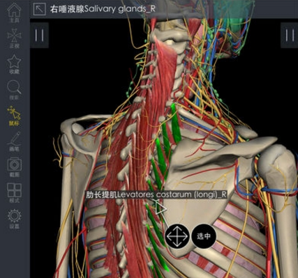 3Dbody解剖安卓版