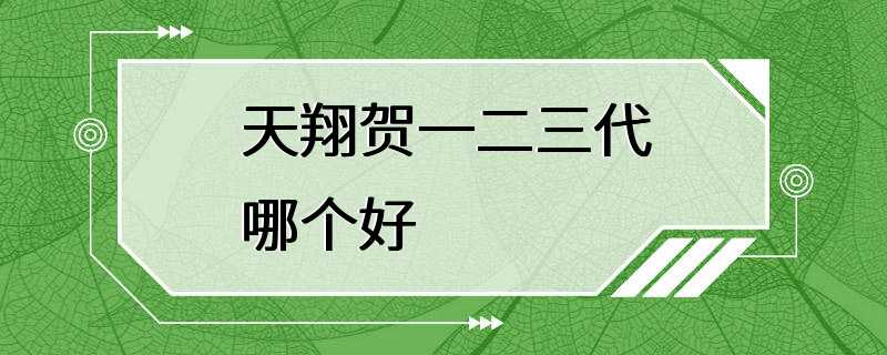 天翔贺一二三代哪个好