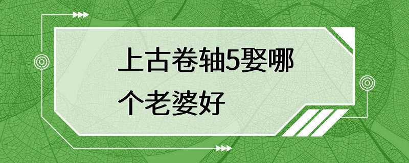 上古卷轴5娶哪个老婆好