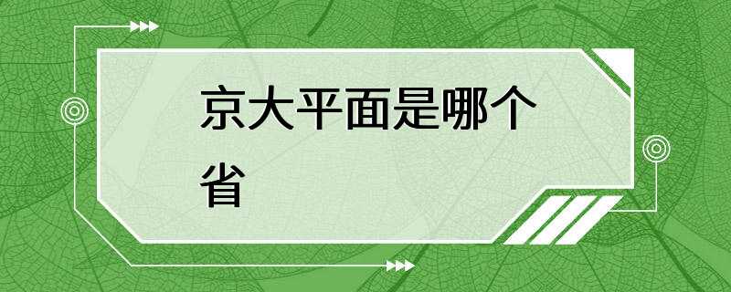 京大平面是哪个省