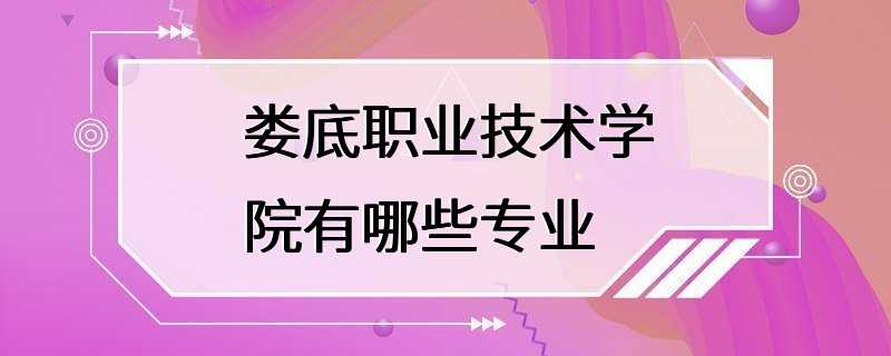 娄底职业技术学院有哪些专业