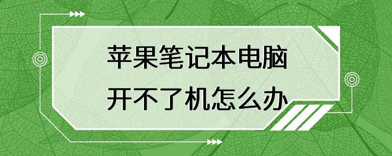 苹果笔记本电脑开不了机怎么办