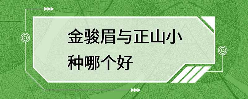 金骏眉与正山小种哪个好