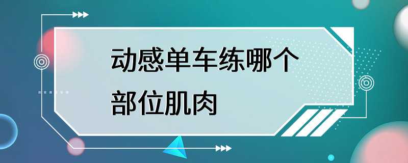 动感单车练哪个部位肌肉