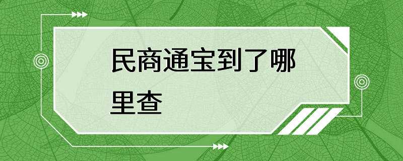 民商通宝到了哪里查