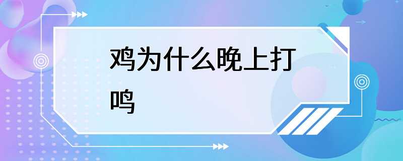 鸡为什么晚上打鸣