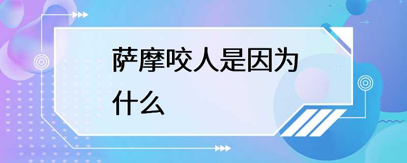 萨摩咬人是因为什么