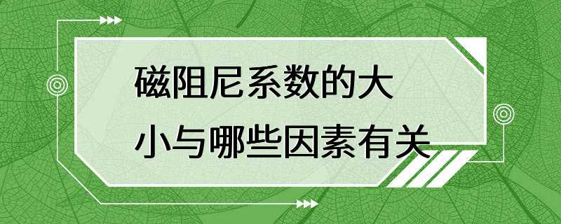 磁阻尼系数的大小与哪些因素有关