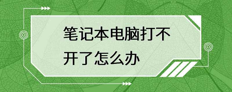 笔记本电脑打不开了怎么办