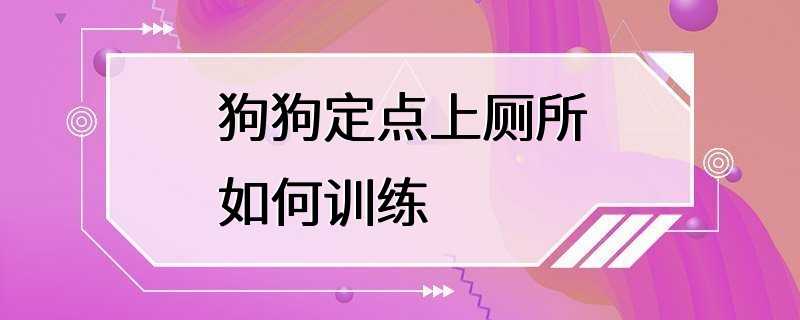 狗狗定点上厕所如何训练