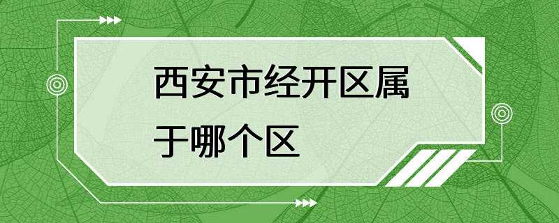 西安市经开区属于哪个区