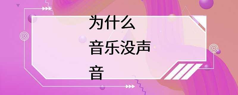 为什么音乐没声音