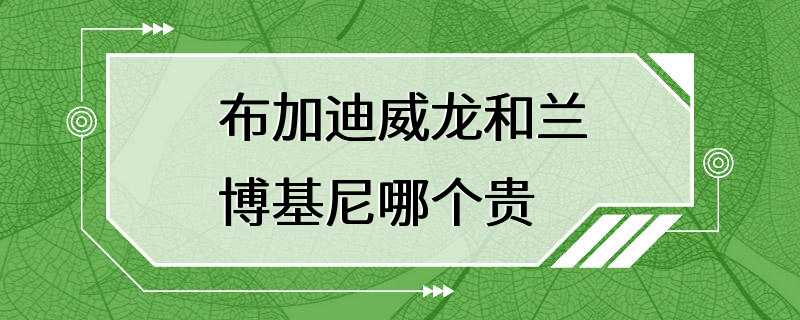 布加迪威龙和兰博基尼哪个贵