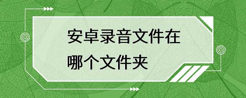 安卓录音文件在哪个文件夹