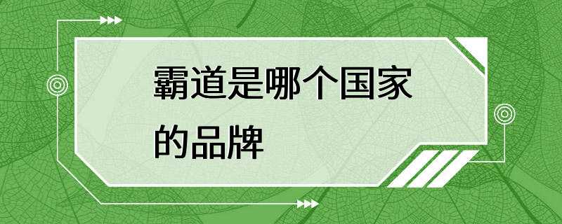 霸道是哪个国家的品牌