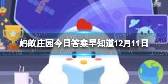 在中国空间站生活的航天员，他们能用Wi-Fi吗 蚂蚁庄园12月11日答案早知道