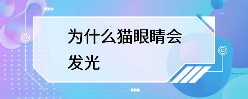 为什么猫眼睛会发光