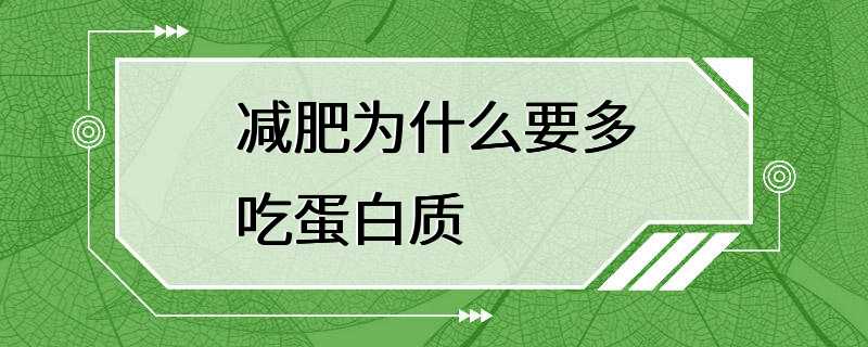 减肥为什么要多吃蛋白质