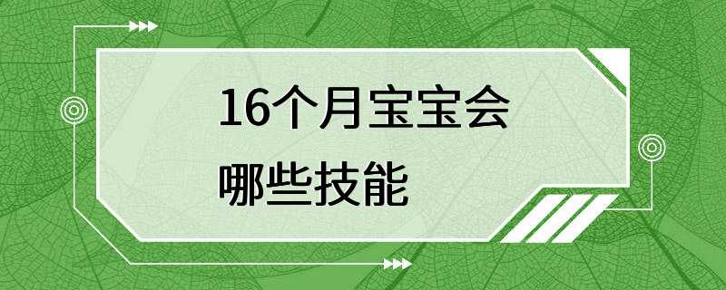 16个月宝宝会哪些技能