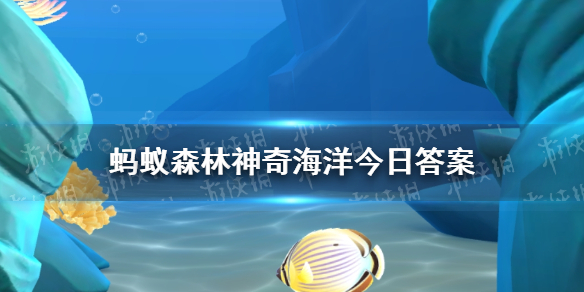 海獭睡觉手牵手是因为什么 神奇海洋4月4日答案最新