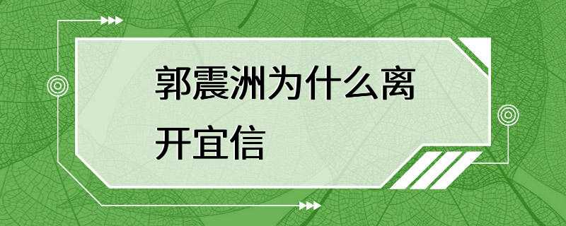 郭震洲为什么离开宜信