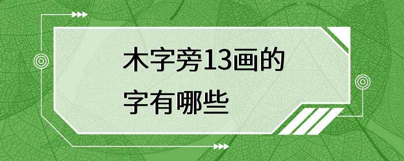 木字旁13画的字有哪些