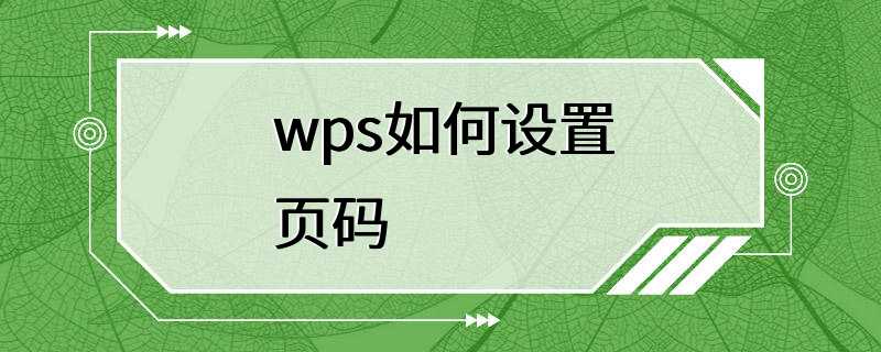 wps如何设置页码