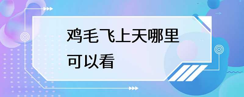 鸡毛飞上天哪里可以看