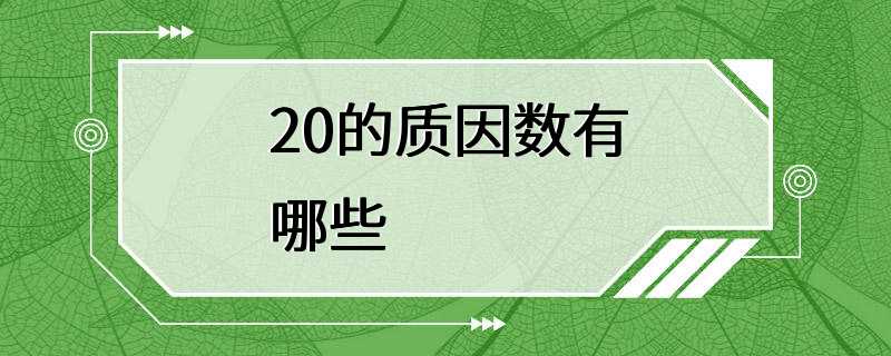 20的质因数有哪些