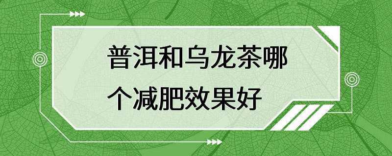 普洱和乌龙茶哪个减肥效果好