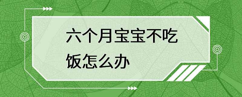 六个月宝宝不吃饭怎么办