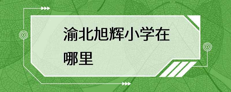 渝北旭辉小学在哪里