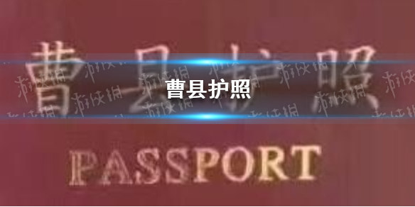 曹县护照 曹县护照是什么梗