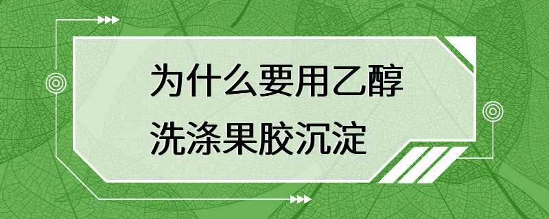 为什么要用乙醇洗涤果胶沉淀