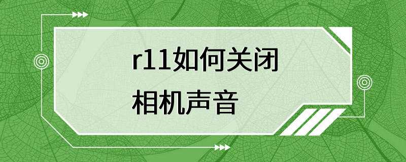 r11如何关闭相机声音