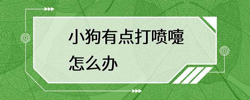 小狗有点打喷嚏怎么办